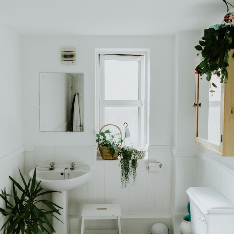 Bathroom Sanitisation